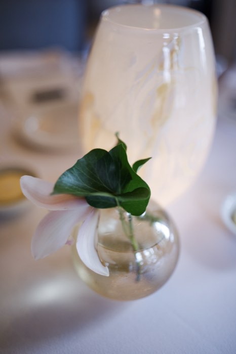 A single orchid stem in a glass bud vase.