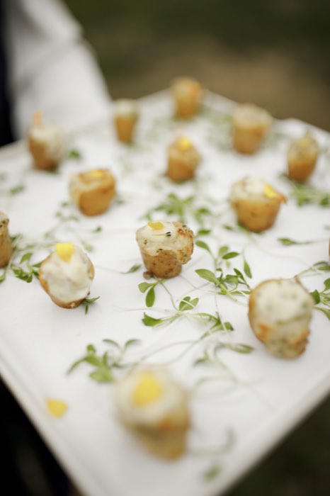 Canapés carried out to the lawn.