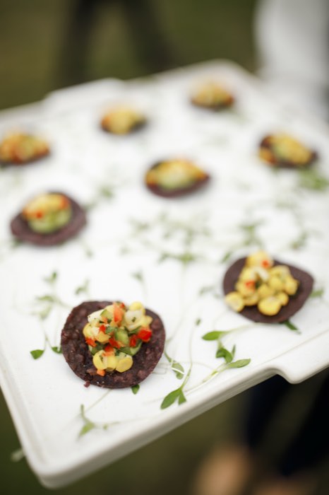 Canapés, plated for the lawn.