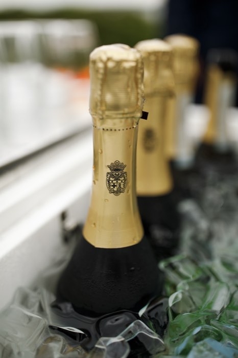 Champagne on ice.