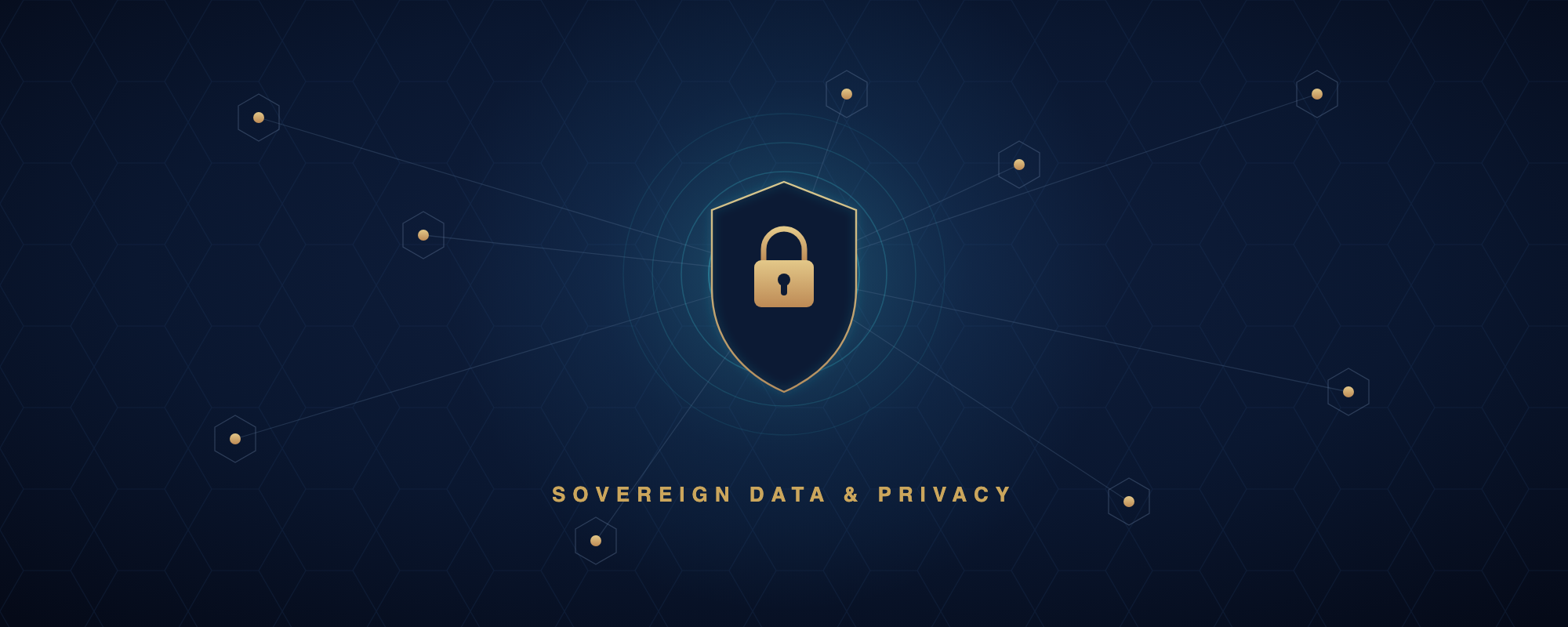 Privacy, Security & Data: Digital Fortress